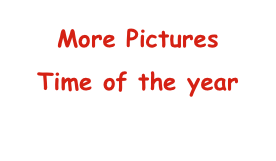More Pictures
Time of the year
