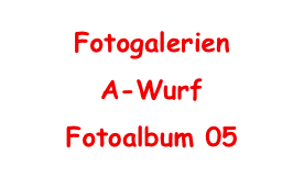 Fotogalerien
A-Wurf
Fotoalbum 05