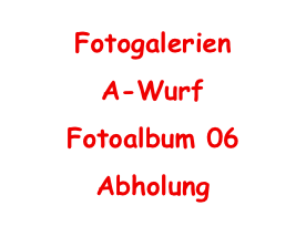 Fotogalerien
A-Wurf
Fotoalbum 06 Abholung