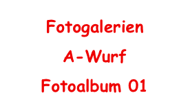 Fotogalerien
A-Wurf
Fotoalbum 01