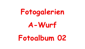 Fotogalerien
A-Wurf
Fotoalbum 02