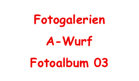 Fotogalerien
A-Wurf
Fotoalbum 03