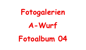 Fotogalerien
A-Wurf
Fotoalbum 04