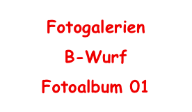 Fotogalerien
B-Wurf
Fotoalbum 01