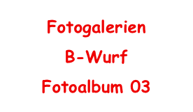 Fotogalerien
B-Wurf
Fotoalbum 03
