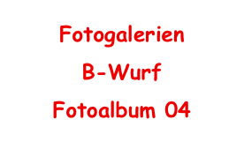 Fotogalerien
B-Wurf
Fotoalbum 04