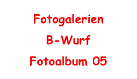 Fotogalerien
B-Wurf
Fotoalbum 05