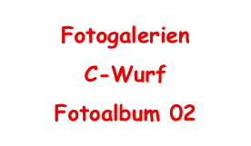 Fotogalerien
C-Wurf
Fotoalbum 02